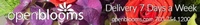 Open Blooms logo