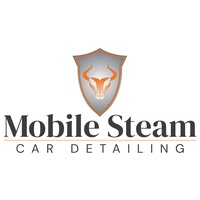 Mobile Steam Car Detailing logo